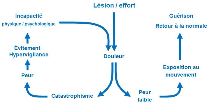 Option Ergonomie | Blogue